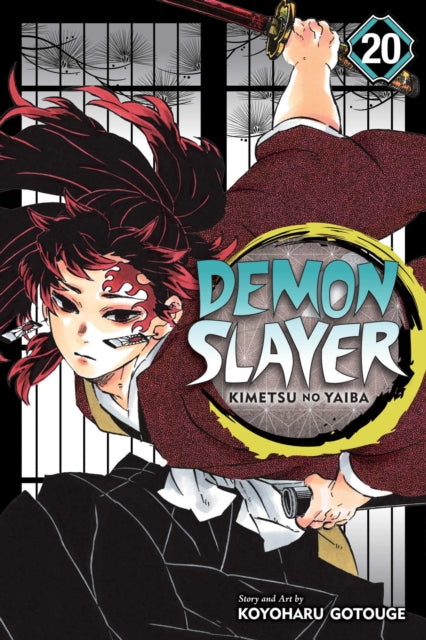 Demon Slayer: Kimetsu no Yaiba, Vol. 20 : 20-9781974720972