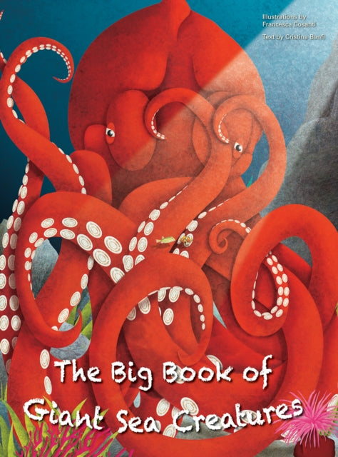 The Big Book of Giant Sea Animals & The Small Book of Tiny Sea Animals-9788854416185