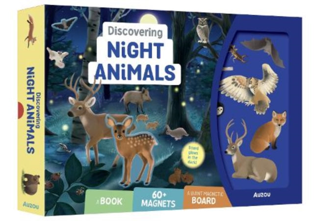Discovering Night Animals-9791039561921