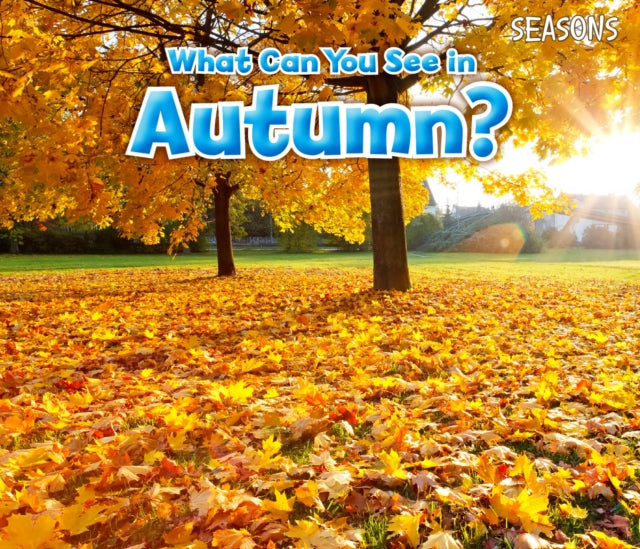 What Can You See In Autumn?-9781406283266