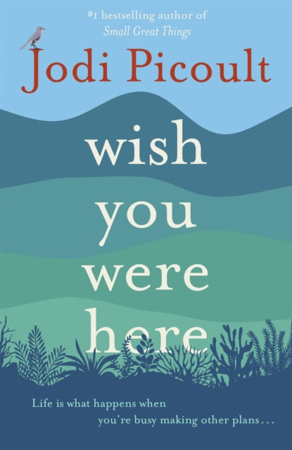 Wish You Were Here : the 5* book real readers are raving about-9781473692503