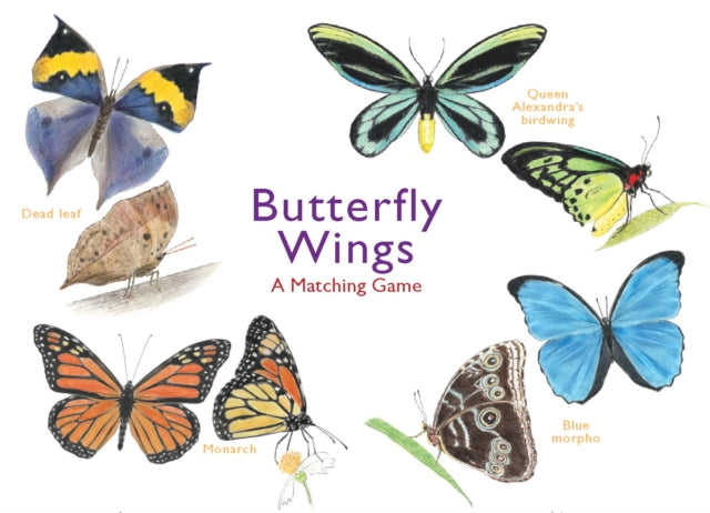 Butterfly Wings : A Matching Game-9781786272850