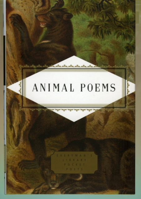 Animal Poems-9781857157161